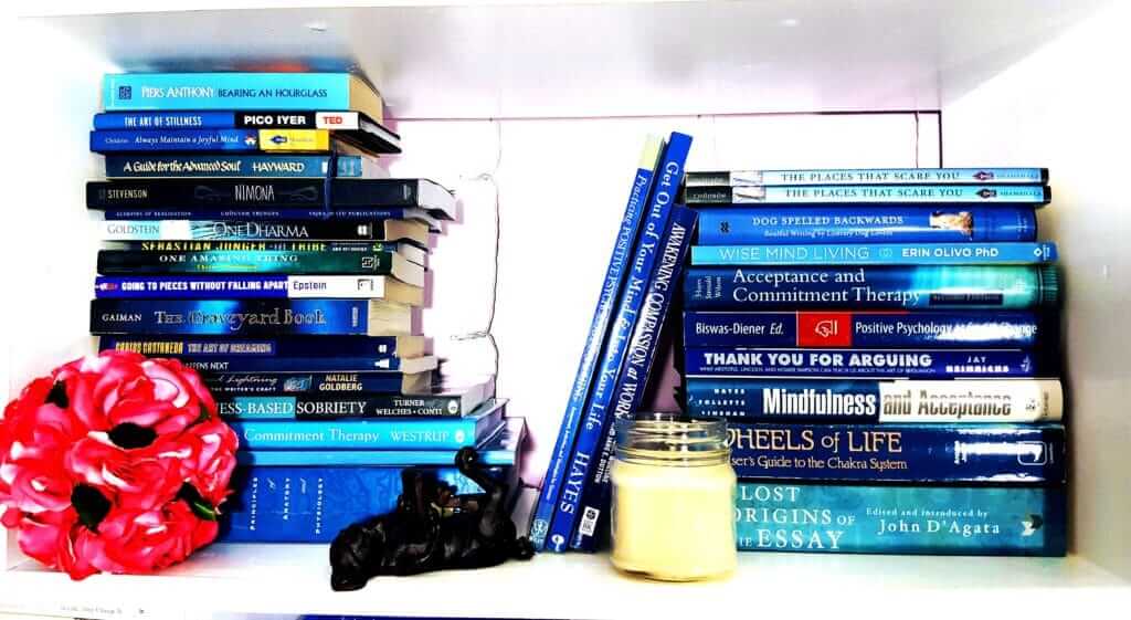 White and Blue Books